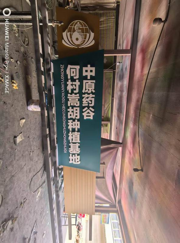 中原藥谷精神堡壘